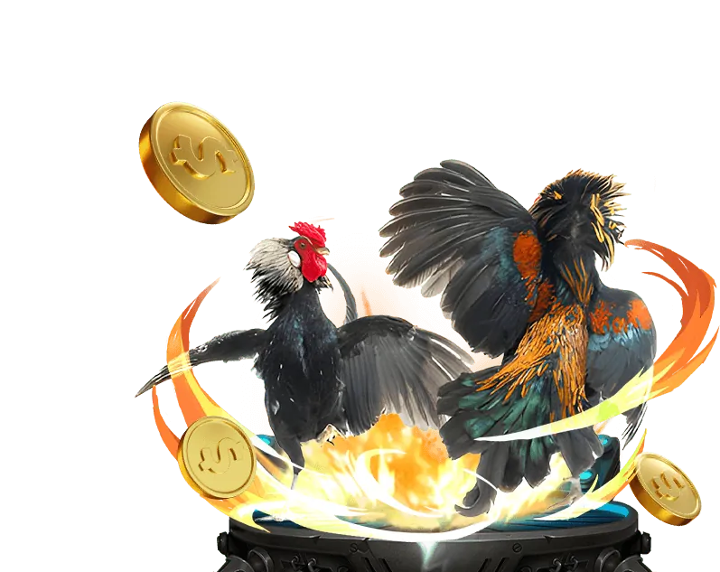 Các tính năng bảo mật hàng đầu tại hbet